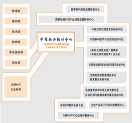 信息技术咨询服务 中国物品编码中心的核心职能与行业赋能
